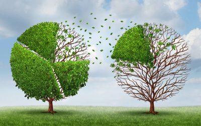 Intergenerational Wealth Transfer Case Study of Curve Clients who recently met with us
